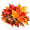 Vazopril Fall Sale